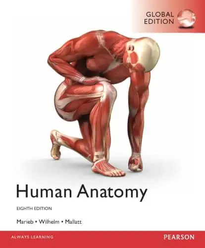 human anatomy 8e global