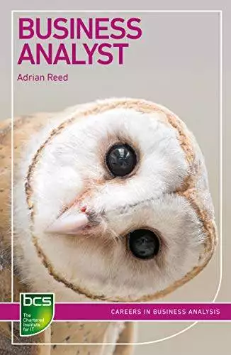 Business Analyst: Careers in business analysis (BCS Guides to IT Roles) - eBook