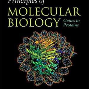 Principles of Molecular Biology - eBook