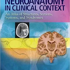 Neuroanatomy in Clinical Context: An Atlas of Structures, Sections, Systems, and Syndromes (9th Edition) - eBook