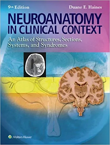 Neuroanatomy in Clinical Context: An Atlas of Structures, Sections, Systems, and Syndromes (9th Edition) - eBook