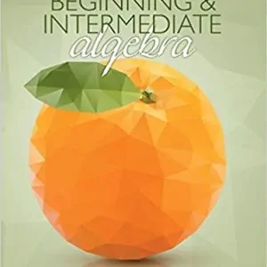 Beginning & Intermediate Algebra (6th Edition) - eBook