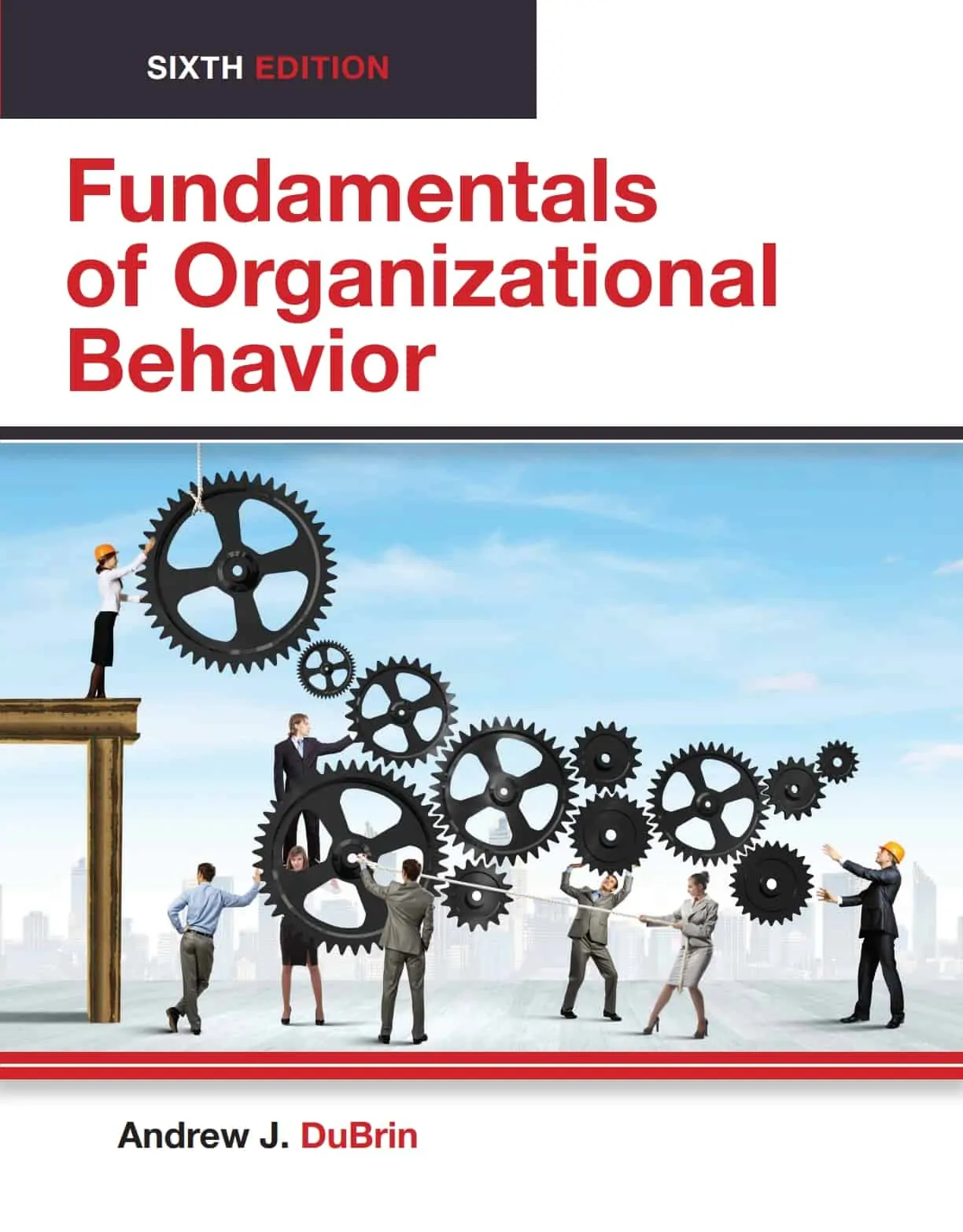 Dubrin's Fundamentals of Organizational Behavior, 6th Edition (PDF)