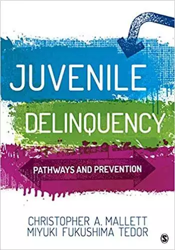 Juvenile Delinquency: Pathways and Prevention - eBook