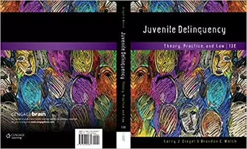 Juvenile Delinquency: Theory, Practice, and Law (13th Edition) - eBook