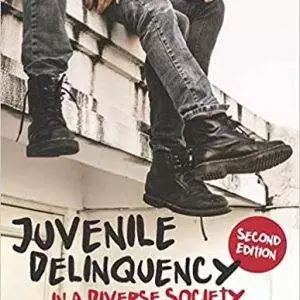 Juvenile Delinquency in a Diverse Society (2nd Edition) - eBook