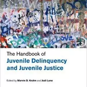 The Handbook of Juvenile Delinquency and Juvenile Justice - eBook