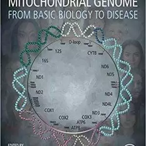 The Human Mitochondrial Genome: From Basic Biology to Disease - eBook