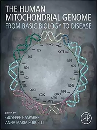 The Human Mitochondrial Genome: From Basic Biology to Disease - eBook