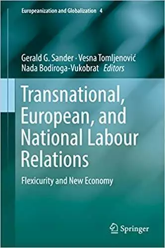 Transnational, European, and National Labour Relations: Flexicurity and New Economy - eBook