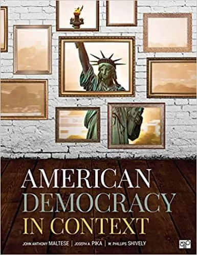 American Democracy in Context - eBook