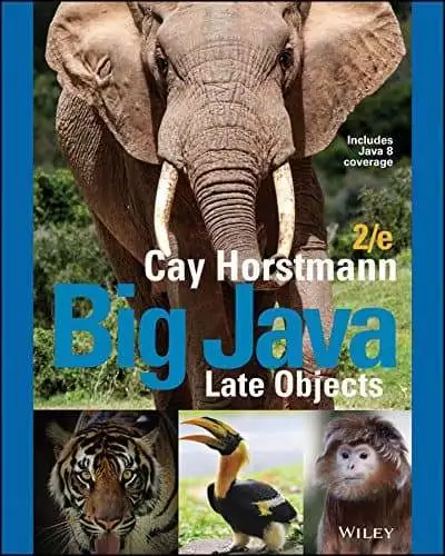 Big Java Late Objects (2nd Edition) - eBook