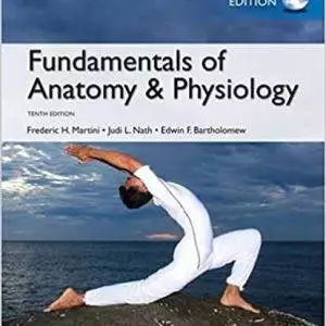 Fundamentals of Anatomy and Physiology (Global-10th Edition) - eBook