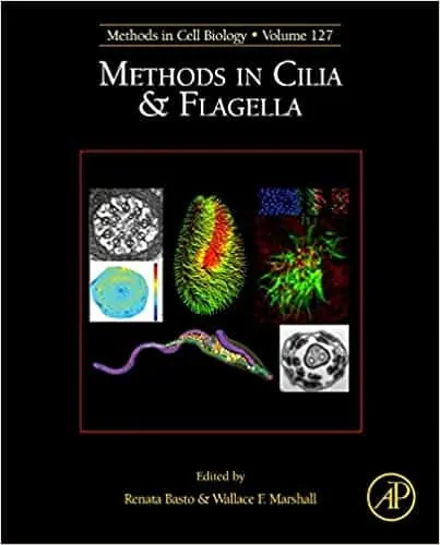 Methods in Cilia and Flagella - eBook