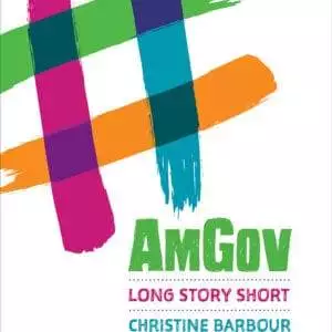 AmGov: Long Story Short - eBook