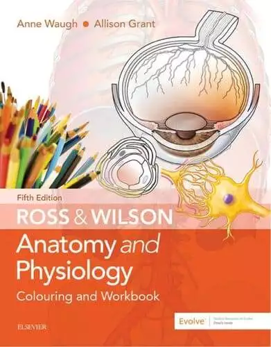 Ross and Wilson Anatomy and Physiology Colouring and Workbook (5th Edition) - eBook