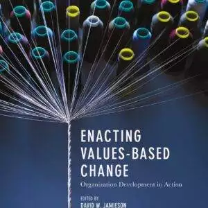 Enacting Values-Based Change: Organization Development in Action - eBook