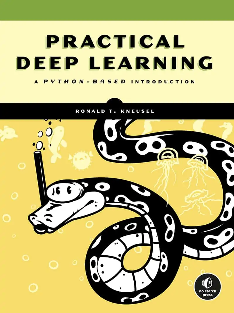 Practical Deep Learning: A Python-Based Introduction - eBook