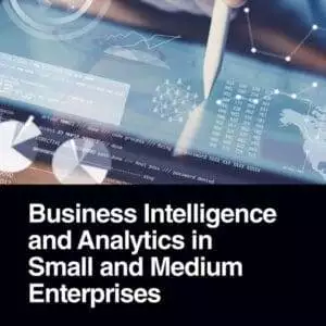 Business Intelligence and Analytics in Small and Medium Enterprises - eBook