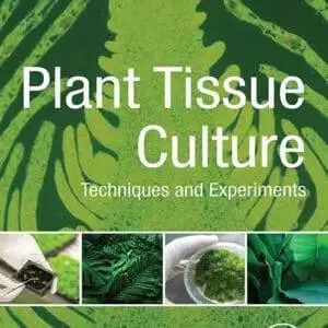 Plant Tissue Culture: Techniques and Experiments (4th Edition) - eBook