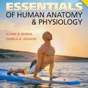 Essentials of Human Anatomy and Physiology Laboratory Manual (7th Edition) - eBook