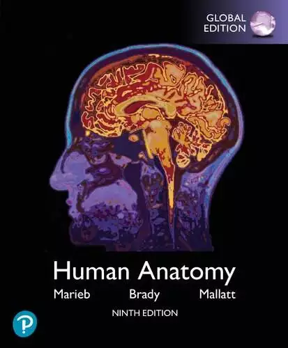 Human Anatomy (9th Edition-Global) - eBook