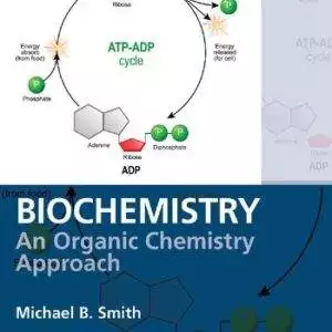 Biochemistry: An Organic Chemistry Approach - eBook