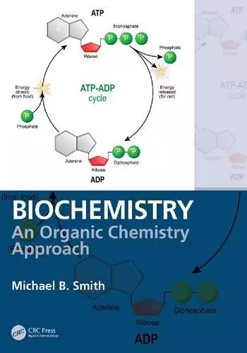 Biochemistry: An Organic Chemistry Approach - eBook