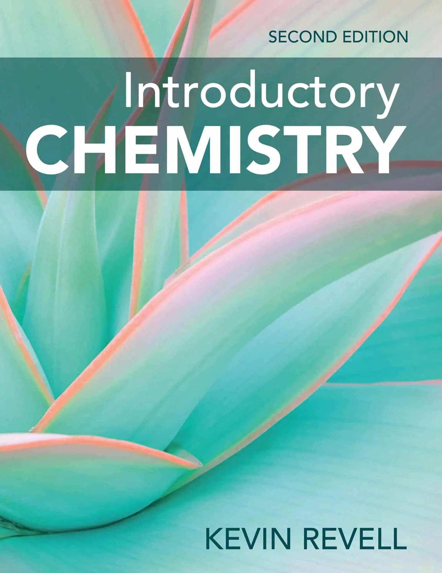 Introductory Chemistry (2nd Edition) - eBook