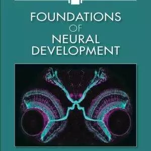 Foundations of Neural Development - eBook