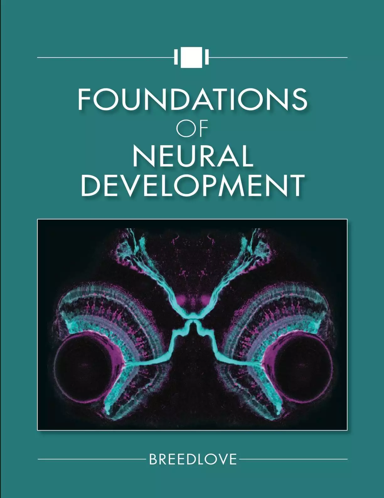 Foundations of Neural Development - eBook