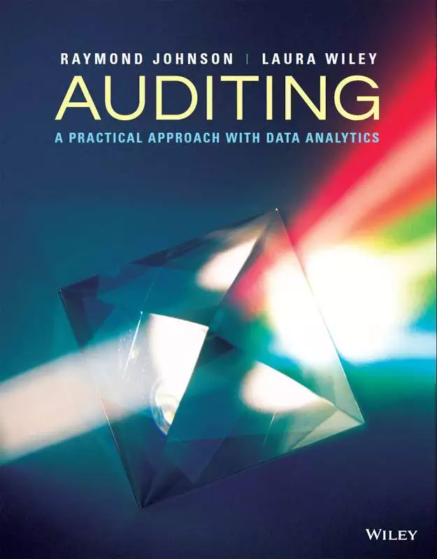 Auditing: A Practical Approach with Data Analytics - eBook