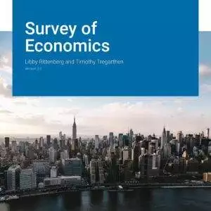 Survey of Economics, Version 2.0 - eBook