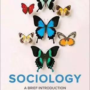 Sociology: A Brief Introduction (7th Canadian Edition) - eBook