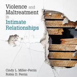 Violence and Maltreatment in Intimate Relationships (2nd Edition) - eBook