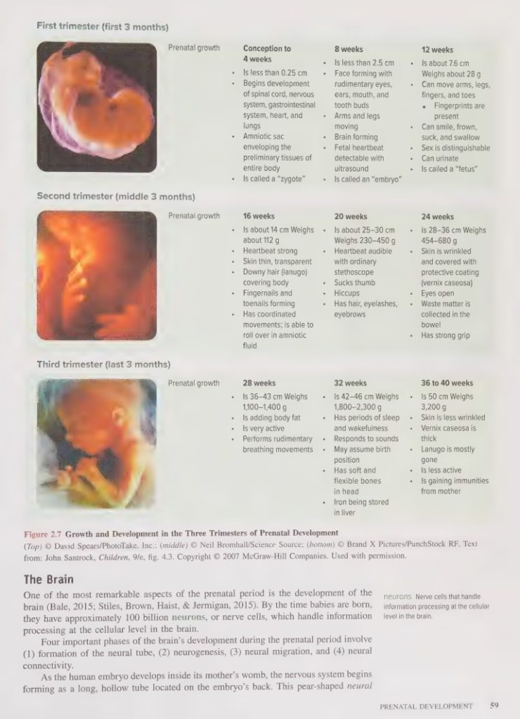 scanned page of Essentials Of Life span Development canada